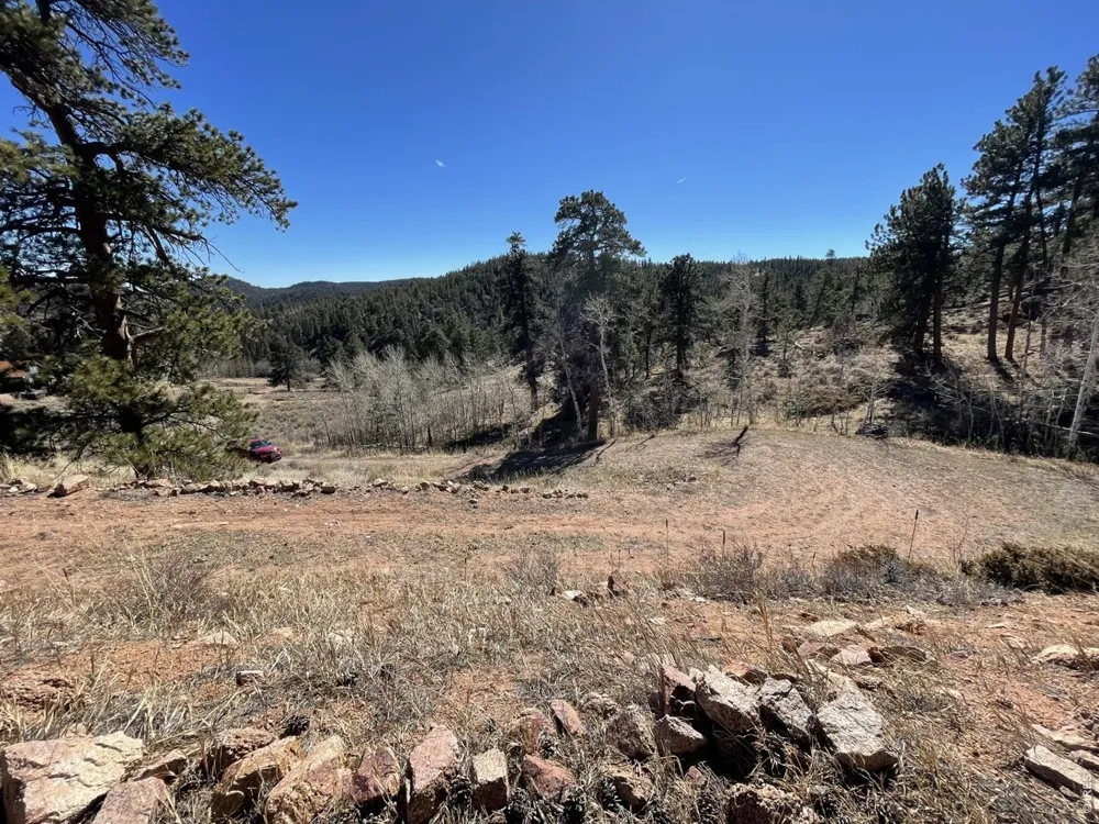 1018 Beartrap Road Red Feather Lakes, CO 80545