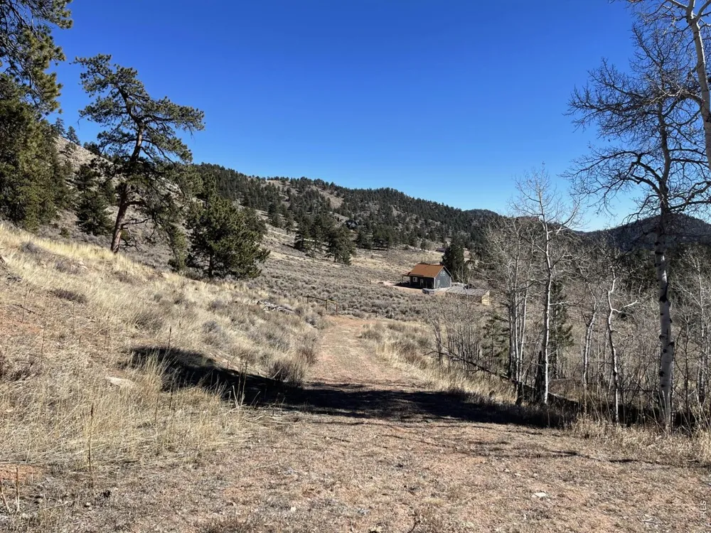 1018 Beartrap Road Red Feather Lakes, CO 80545