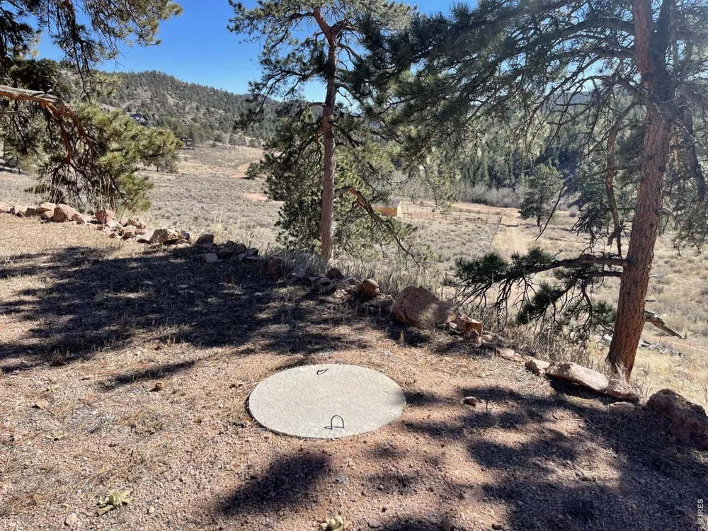 1018 Beartrap Road Red Feather Lakes, CO 80545
