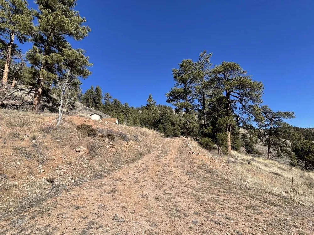 1018 Beartrap Road Red Feather Lakes, CO 80545
