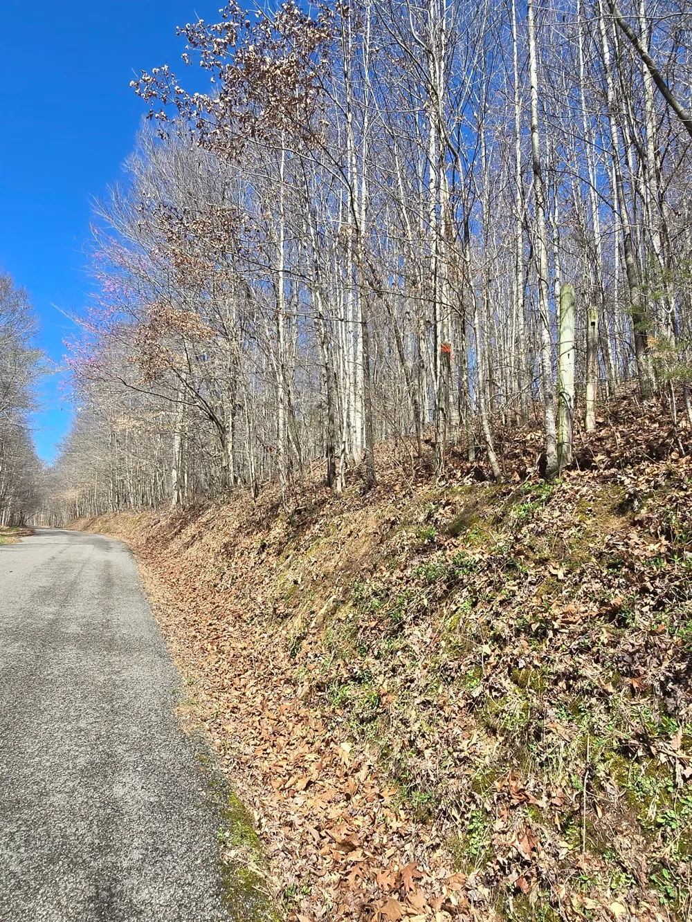 627 Stewart Hollow Rd Lynchburg, TN 37352