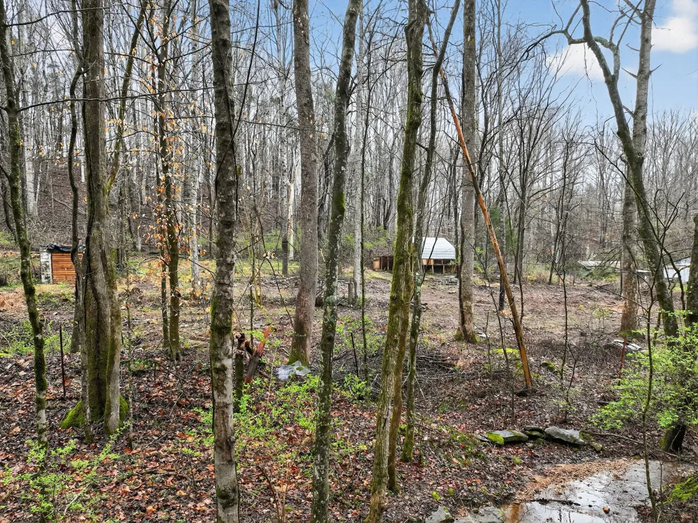 627 Stewart Hollow Rd Lynchburg, TN 37352