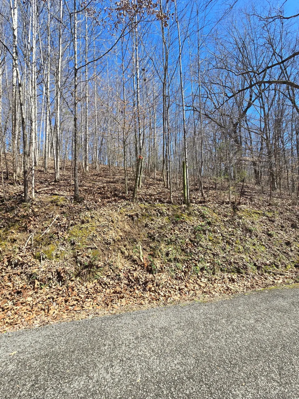 627 Stewart Hollow Rd Lynchburg, TN 37352