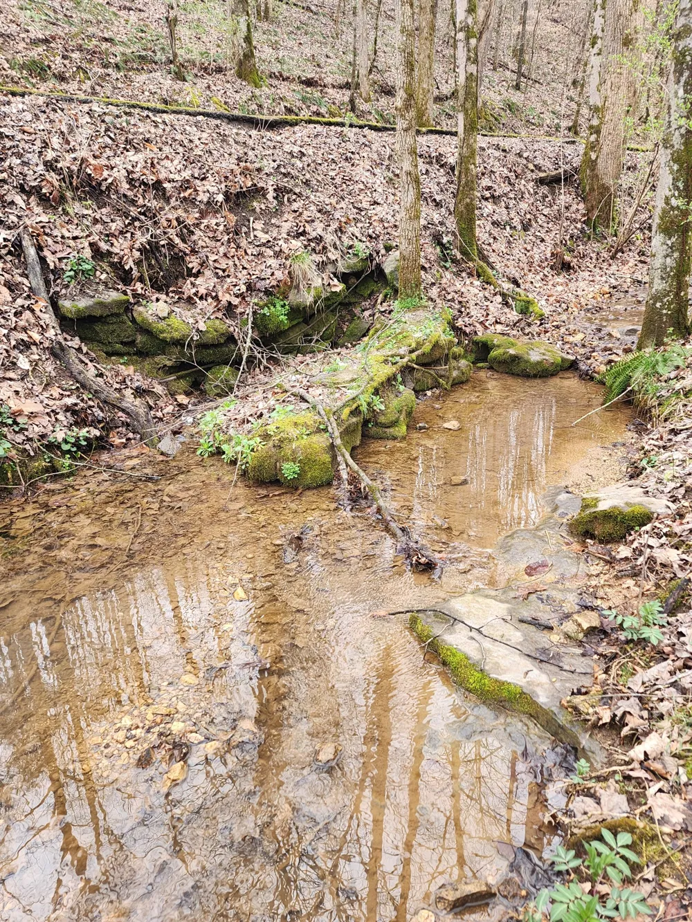 627 Stewart Hollow Rd Lynchburg, TN 37352