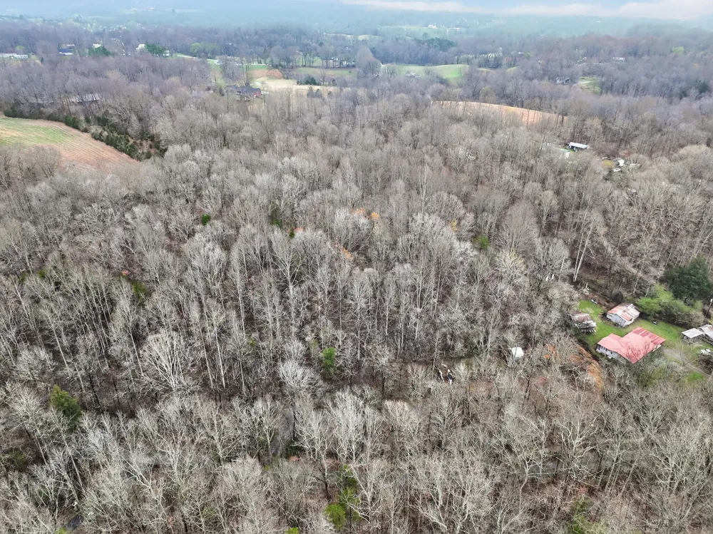 627 Stewart Hollow Rd Lynchburg, TN 37352