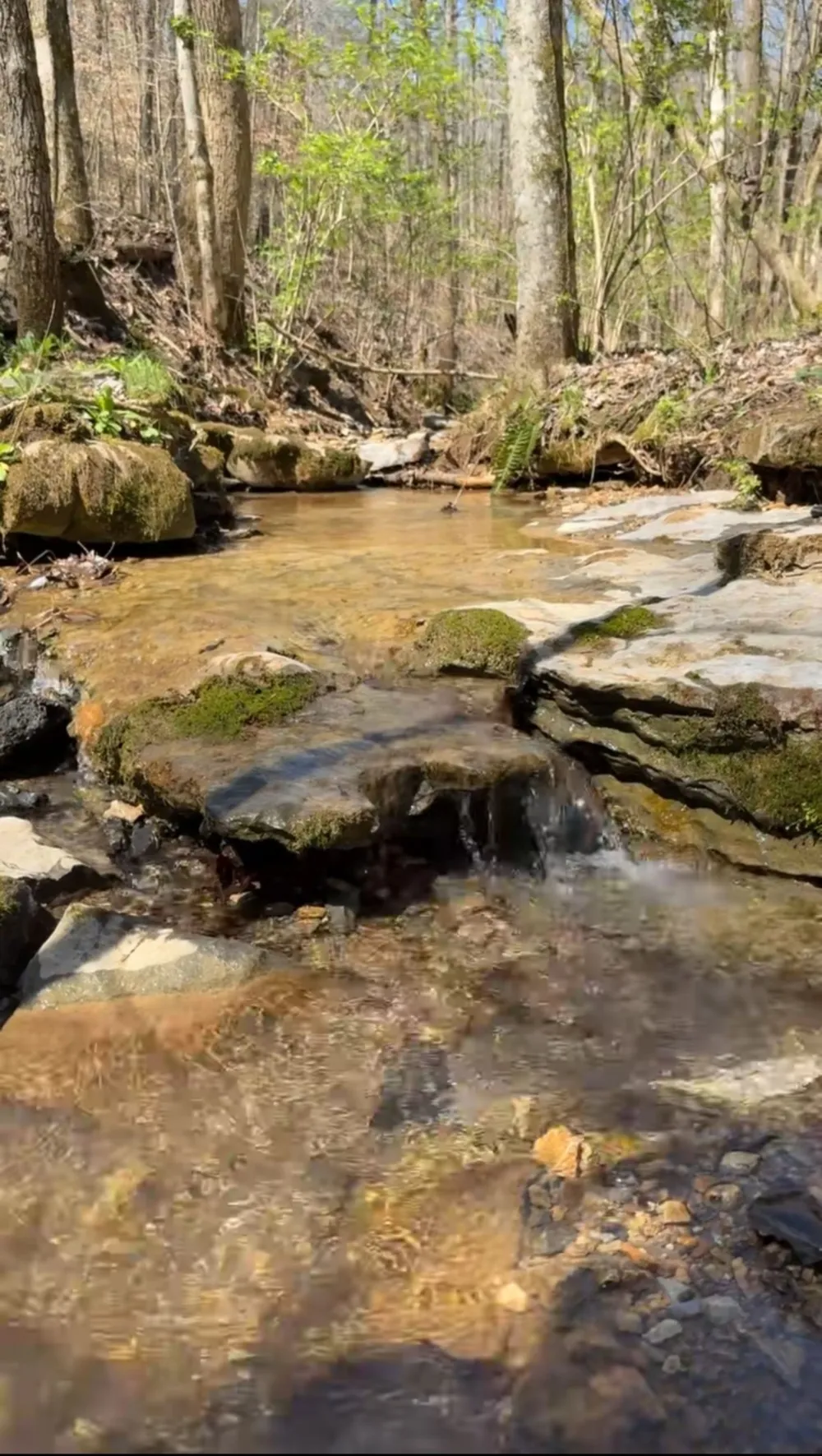 627 Stewart Hollow Rd Lynchburg, TN 37352
