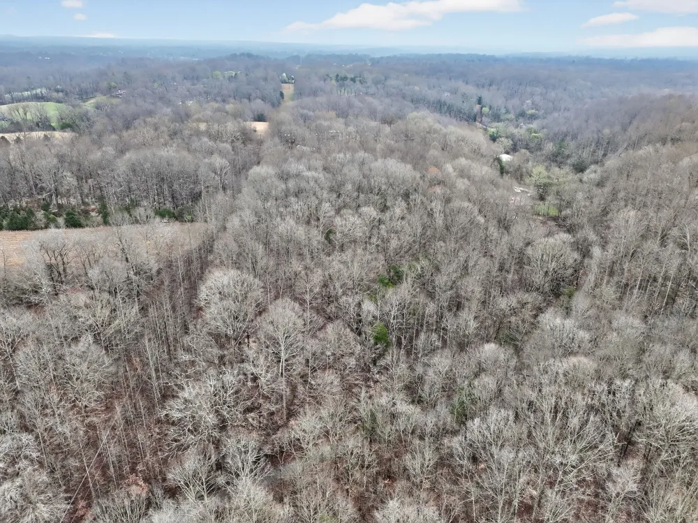 627 Stewart Hollow Rd Lynchburg, TN 37352