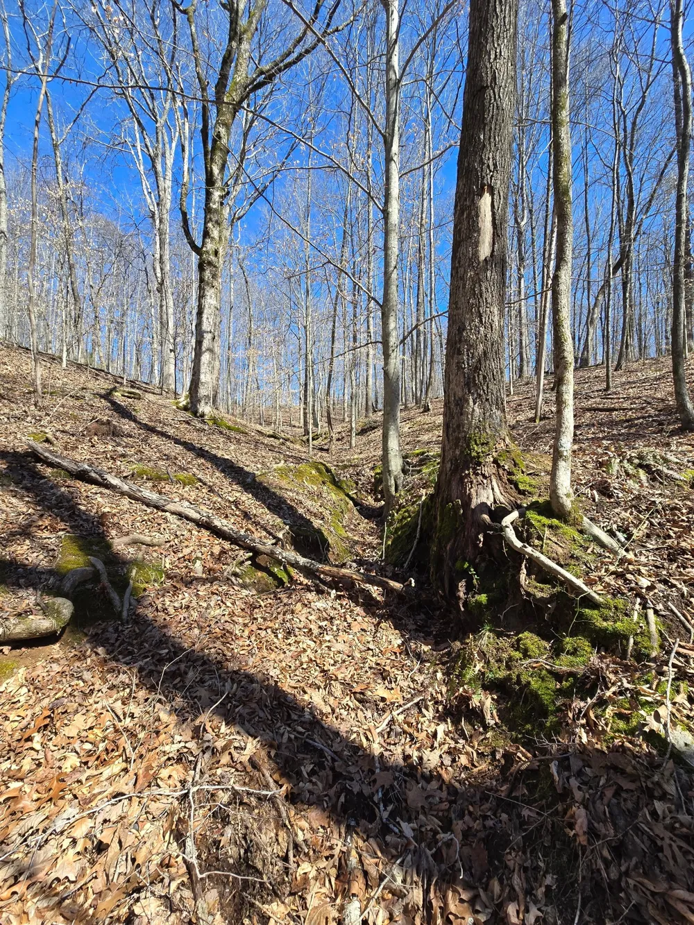627 Stewart Hollow Rd Lynchburg, TN 37352