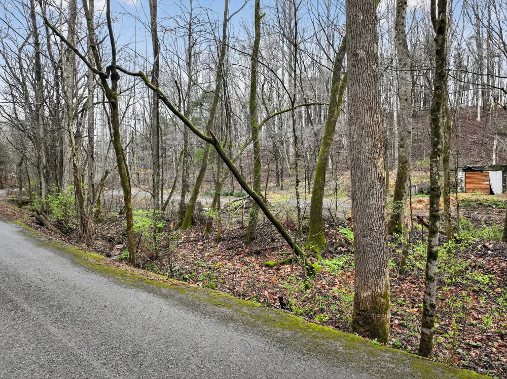 627 Stewart Hollow Rd Lynchburg, TN 37352