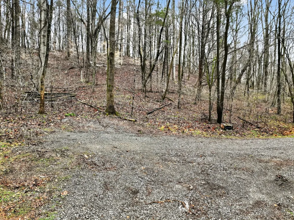 627 Stewart Hollow Rd Lynchburg, TN 37352