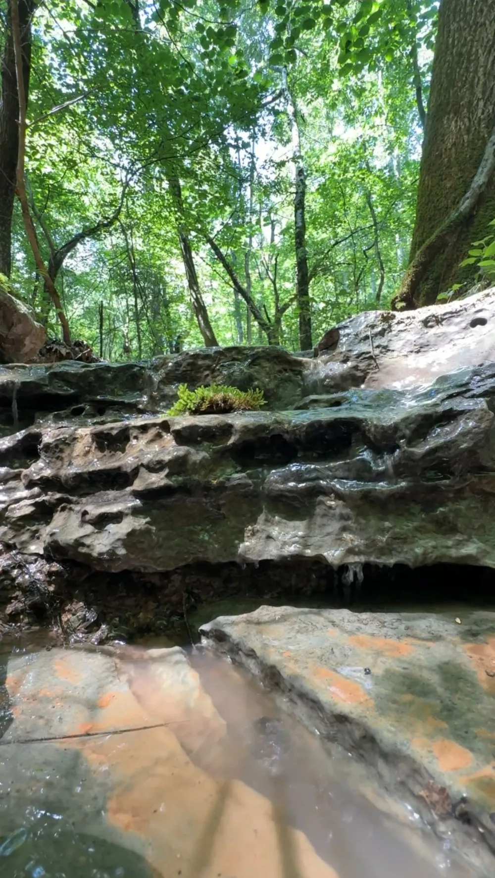627 Stewart Hollow Rd Lynchburg, TN 37352
