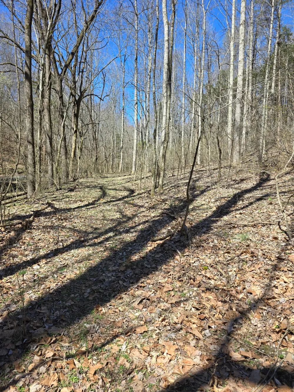 627 Stewart Hollow Rd Lynchburg, TN 37352