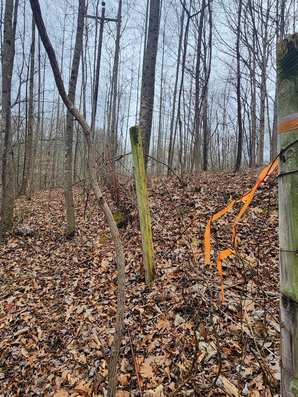 627 Stewart Hollow Rd Lynchburg, TN 37352