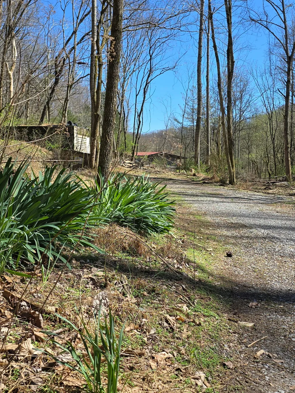 627 Stewart Hollow Rd Lynchburg, TN 37352
