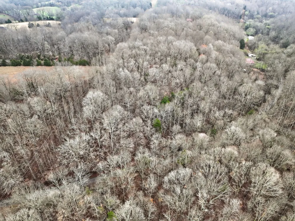 627 Stewart Hollow Rd Lynchburg, TN 37352