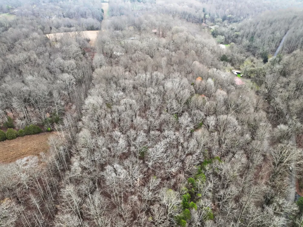 627 Stewart Hollow Rd Lynchburg, TN 37352