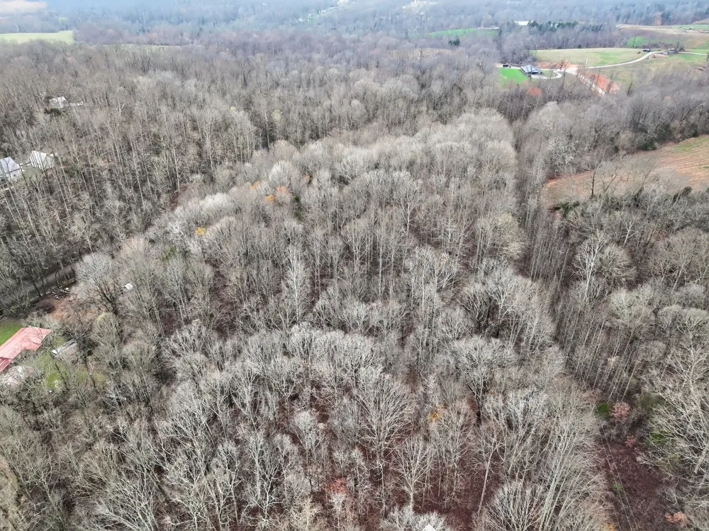 627 Stewart Hollow Rd Lynchburg, TN 37352
