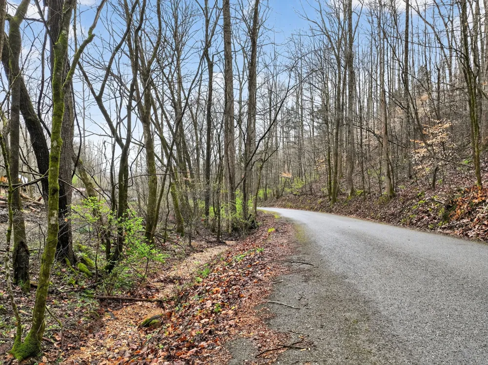 627 Stewart Hollow Rd Lynchburg, TN 37352