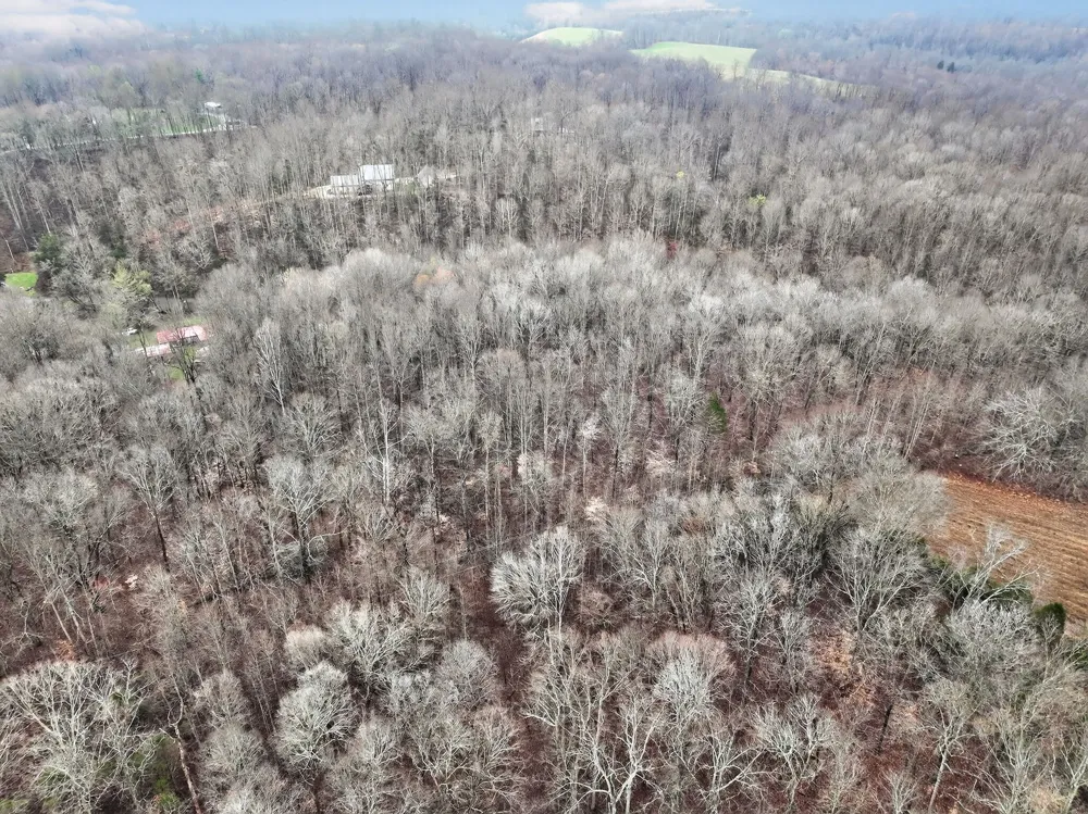 627 Stewart Hollow Rd Lynchburg, TN 37352