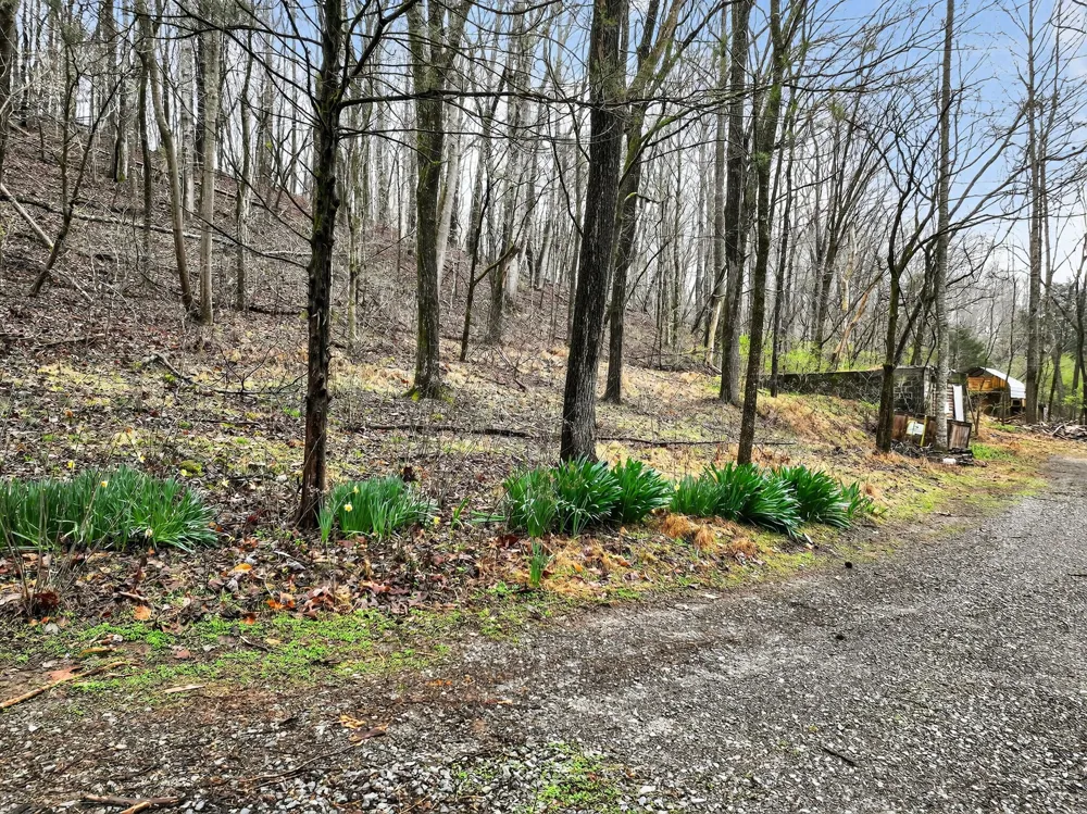 627 Stewart Hollow Rd Lynchburg, TN 37352