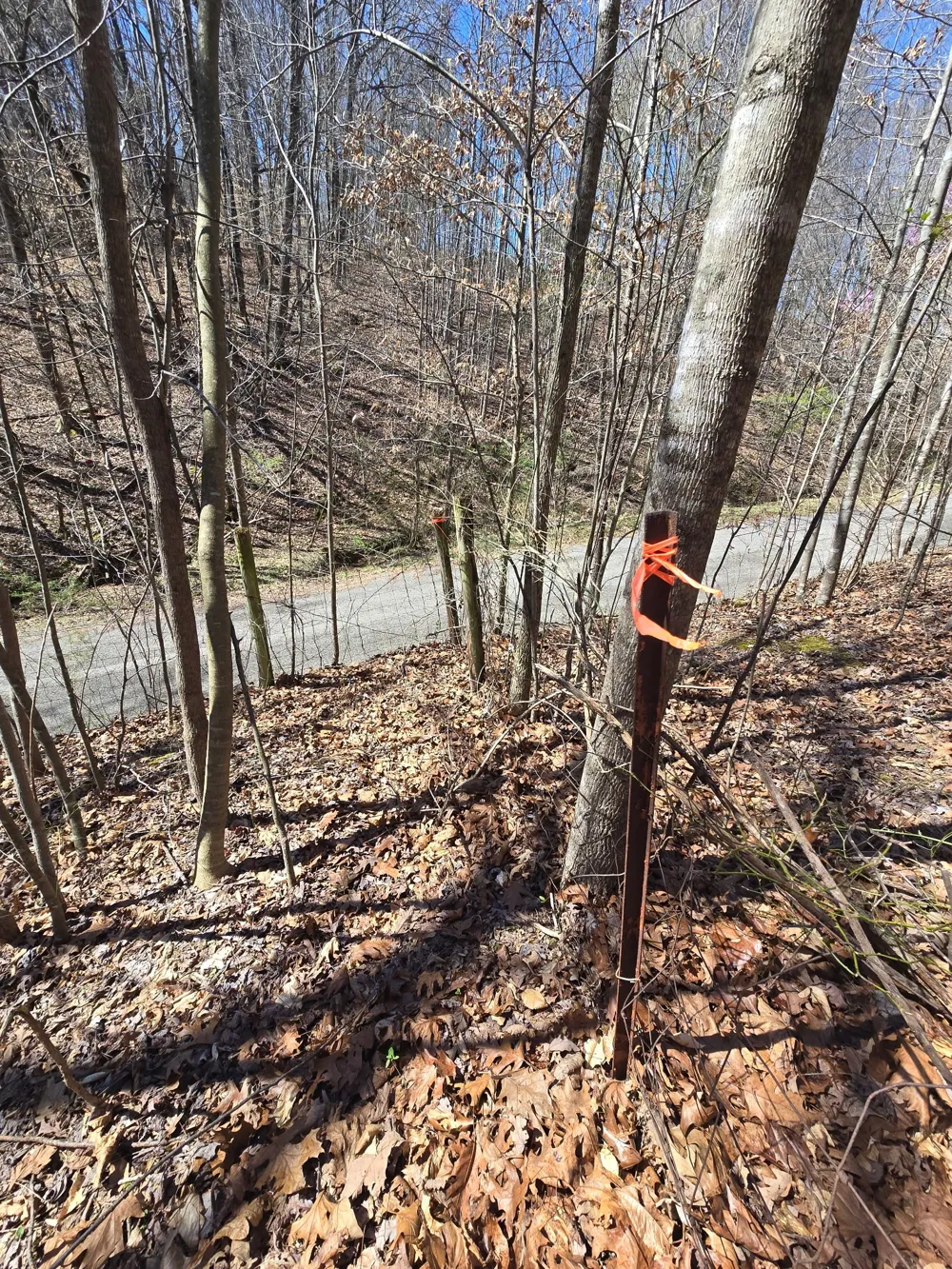 627 Stewart Hollow Rd Lynchburg, TN 37352