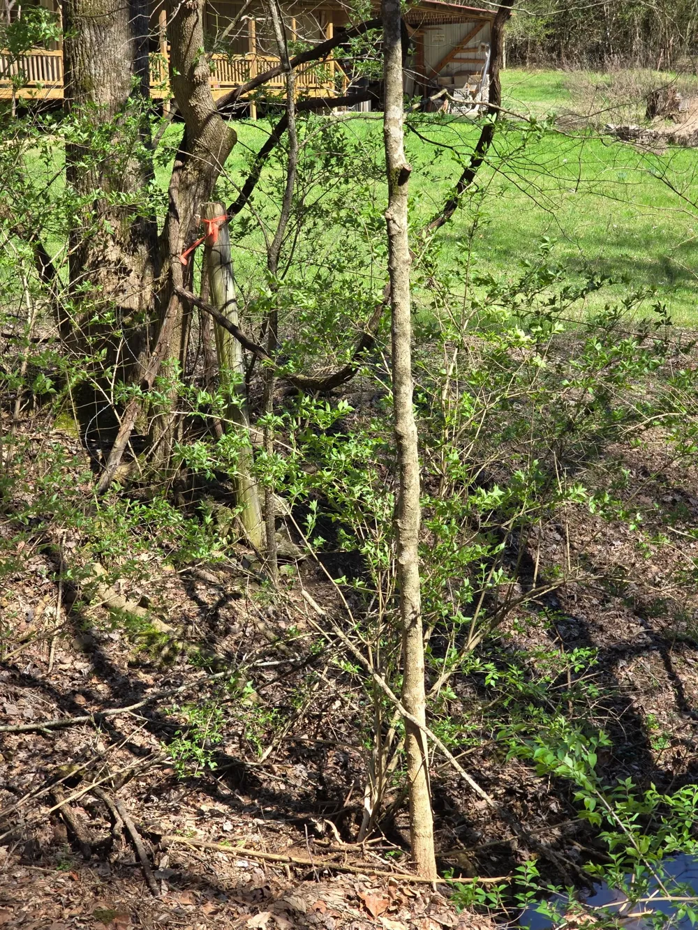 627 Stewart Hollow Rd Lynchburg, TN 37352