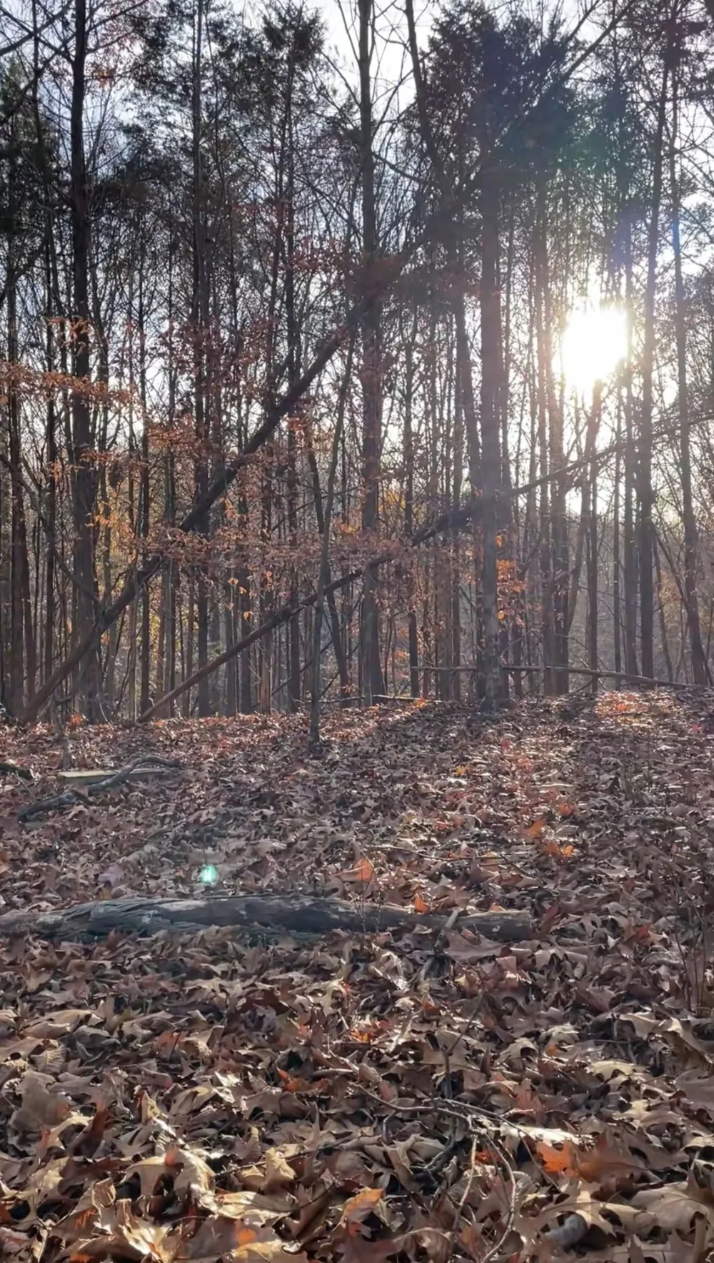 627 Stewart Hollow Rd Lynchburg, TN 37352