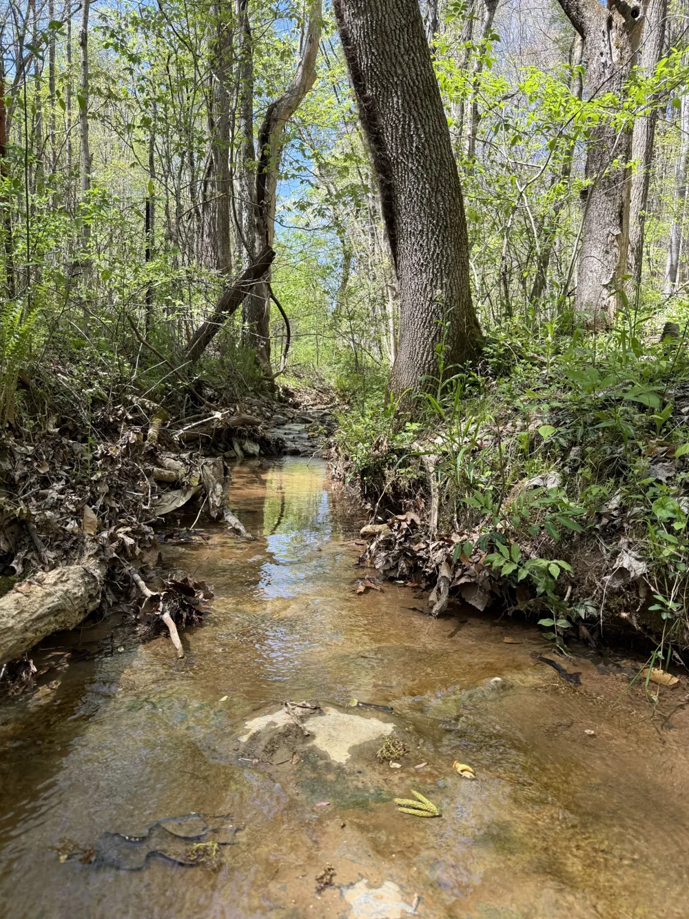 627 Stewart Hollow Rd Lynchburg, TN 37352