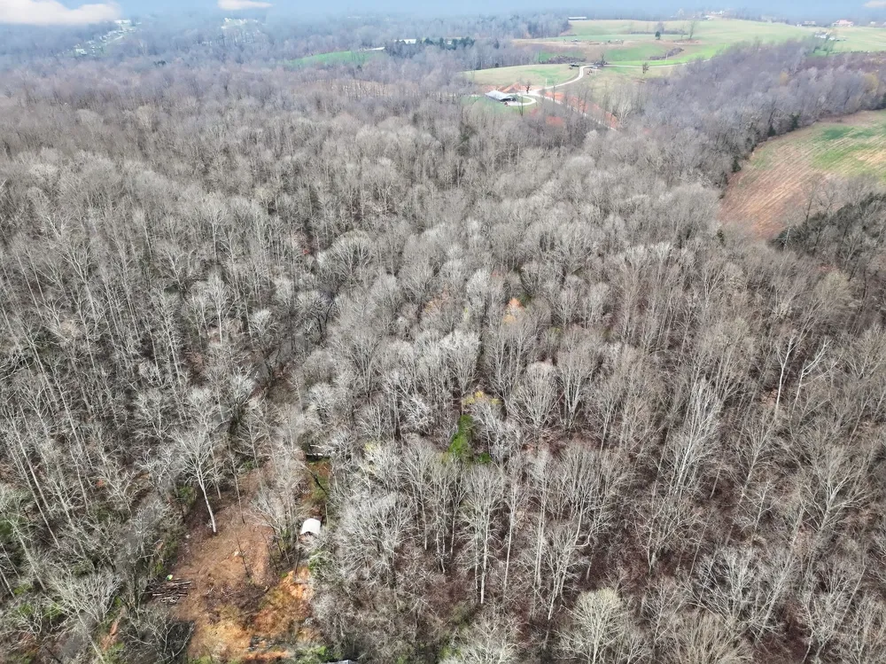 627 Stewart Hollow Rd Lynchburg, TN 37352
