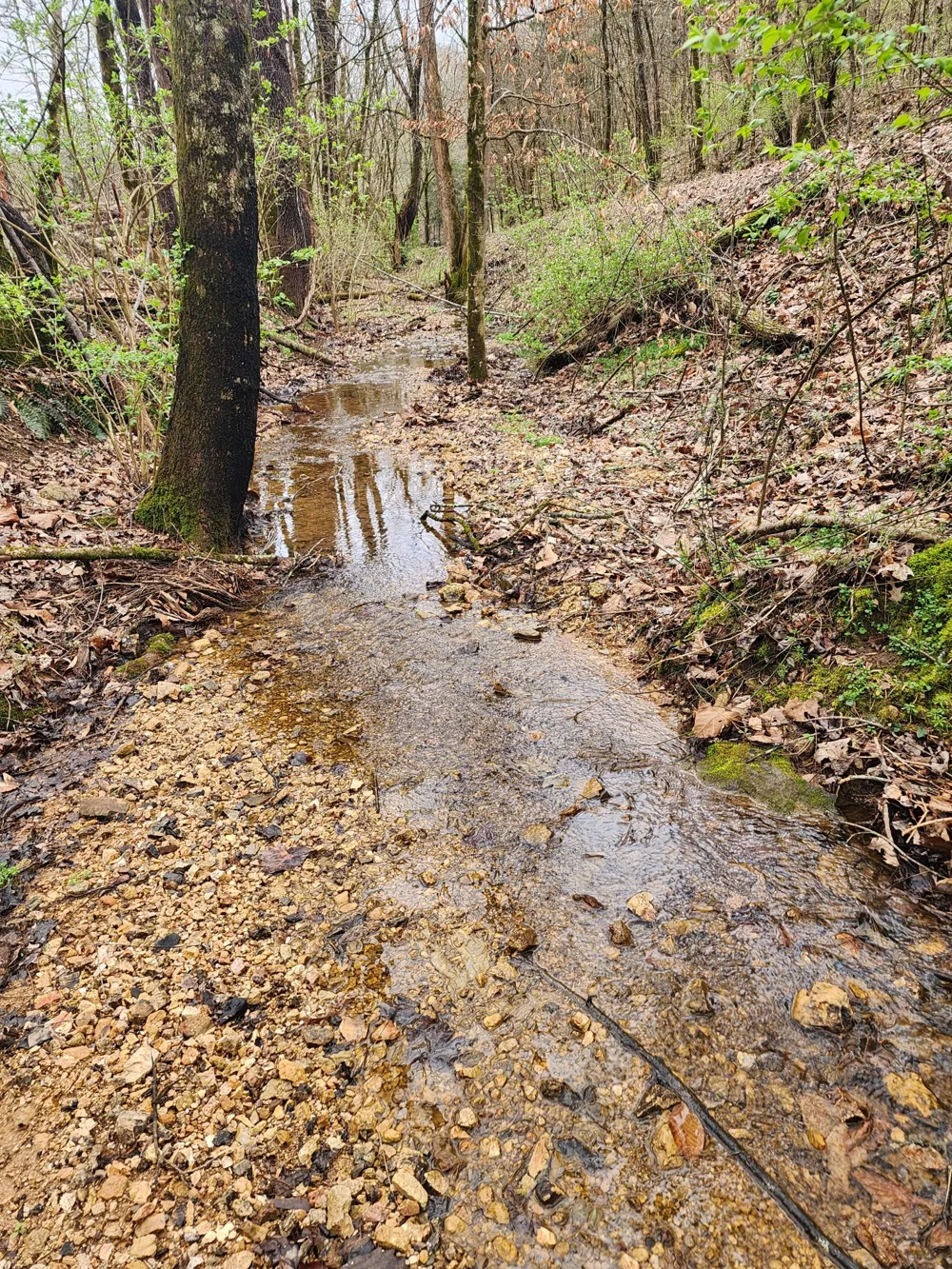 627 Stewart Hollow Rd Lynchburg, TN 37352