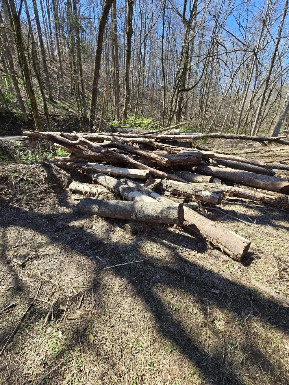 627 Stewart Hollow Rd Lynchburg, TN 37352