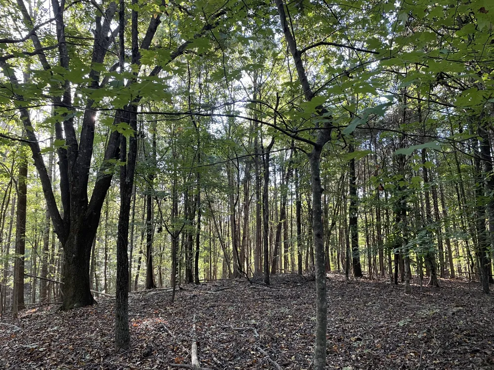 627 Stewart Hollow Rd Lynchburg, TN 37352