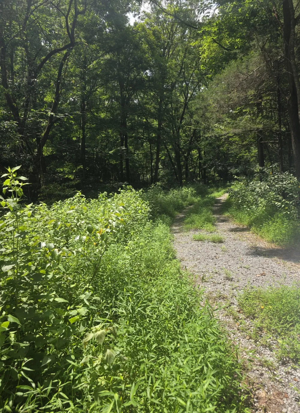 627 Stewart Hollow Rd Lynchburg, TN 37352