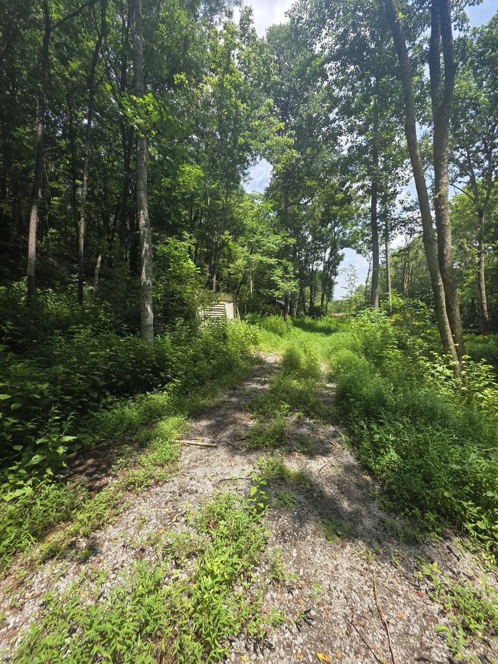 627 Stewart Hollow Rd Lynchburg, TN 37352