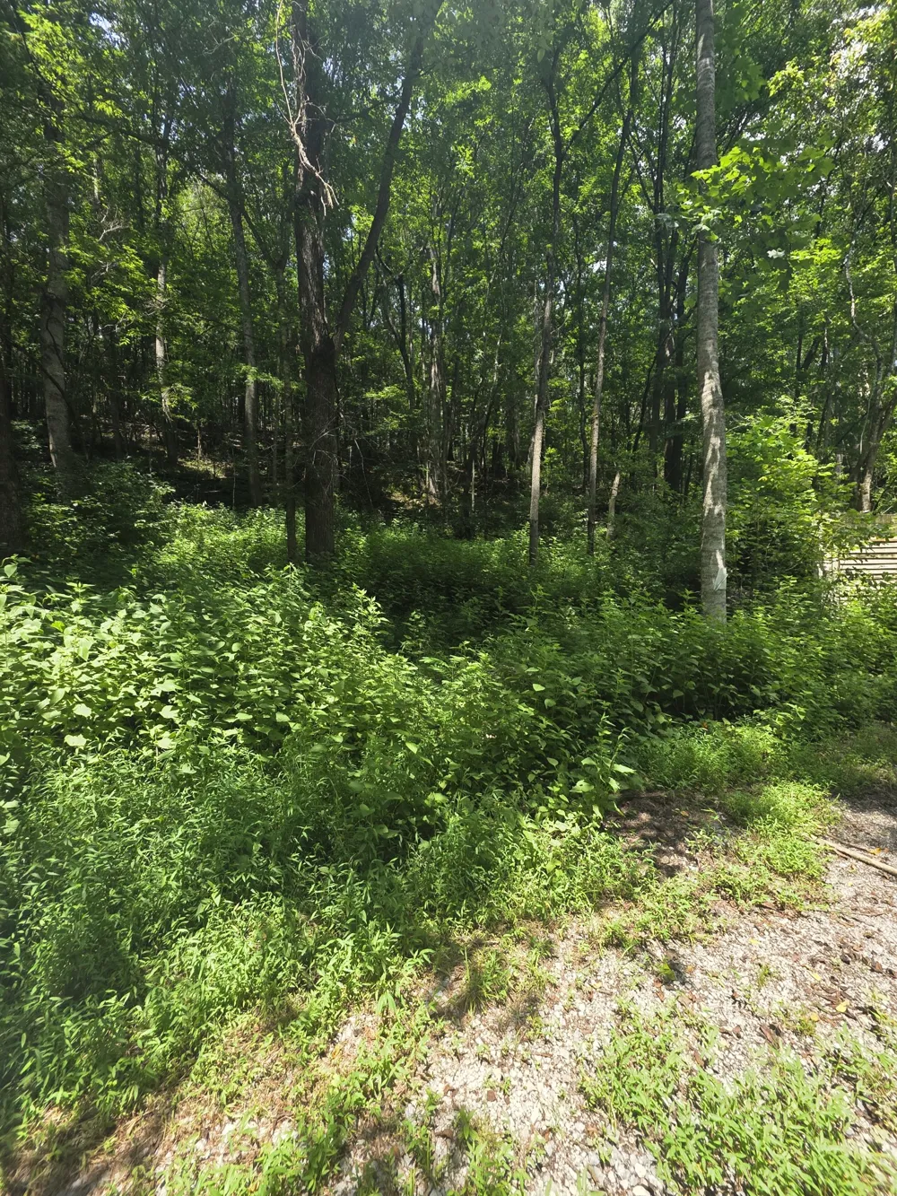 627 Stewart Hollow Rd Lynchburg, TN 37352