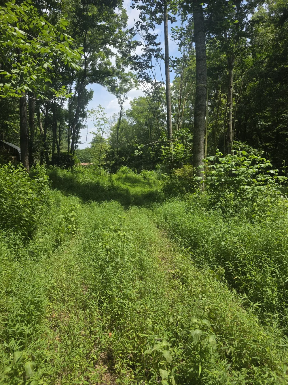 627 Stewart Hollow Rd Lynchburg, TN 37352