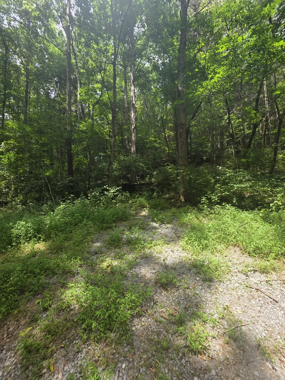 627 Stewart Hollow Rd Lynchburg, TN 37352