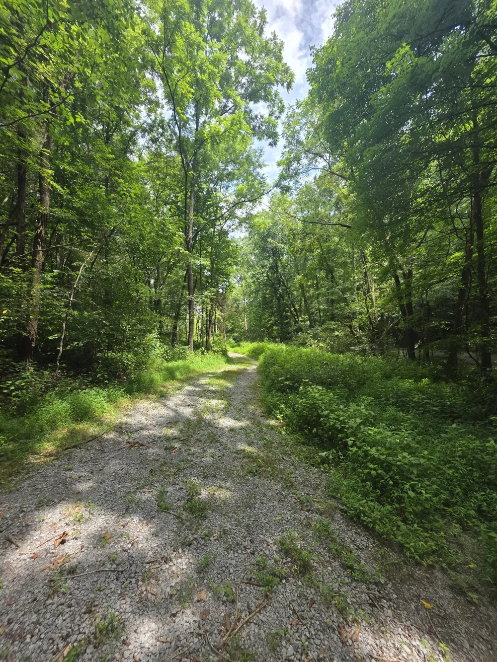 627 Stewart Hollow Rd Lynchburg, TN 37352