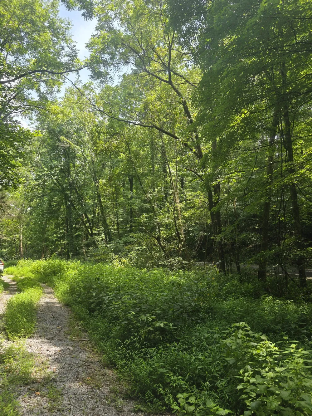 627 Stewart Hollow Rd Lynchburg, TN 37352