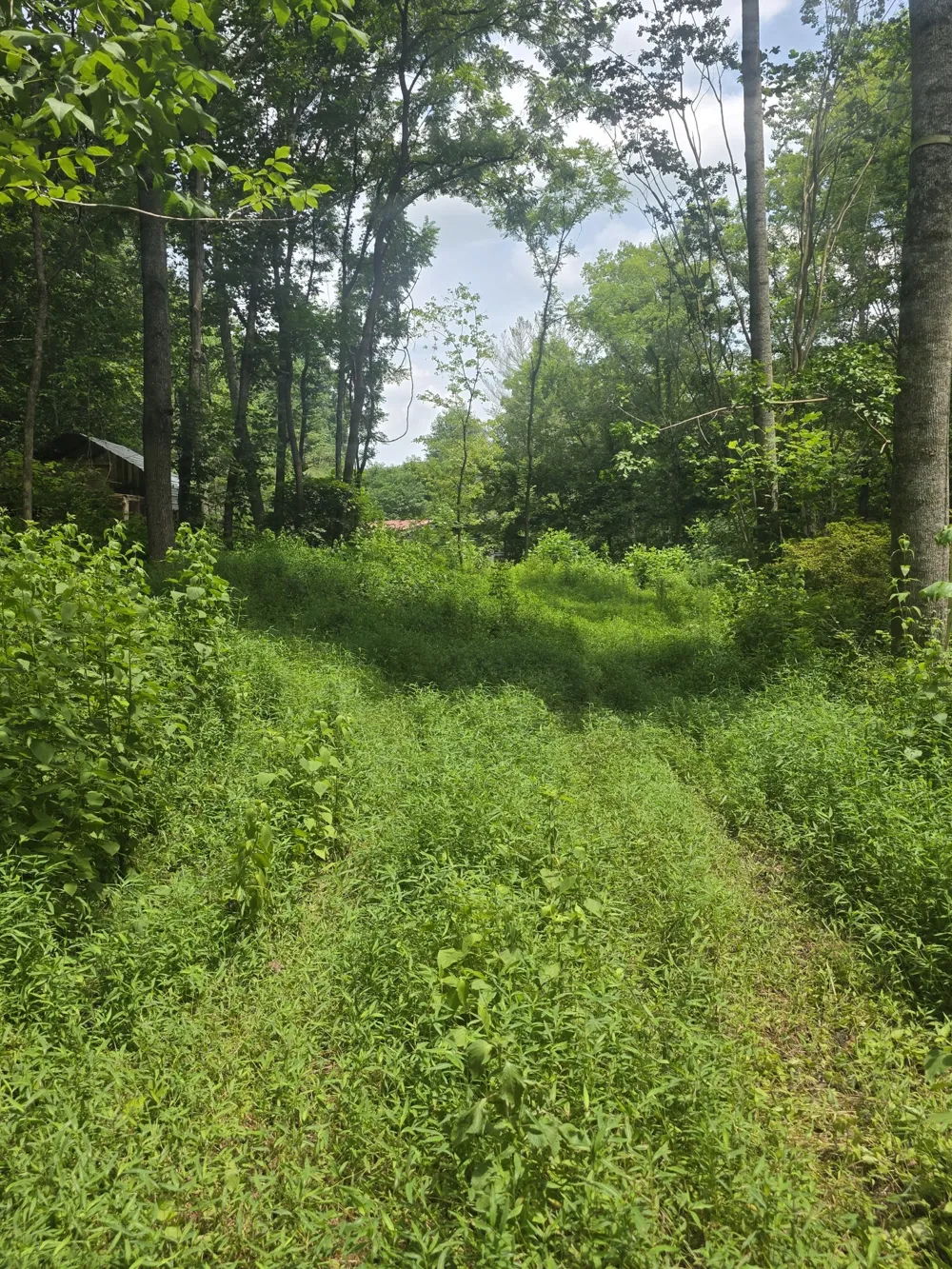 627 Stewart Hollow Rd Lynchburg, TN 37352