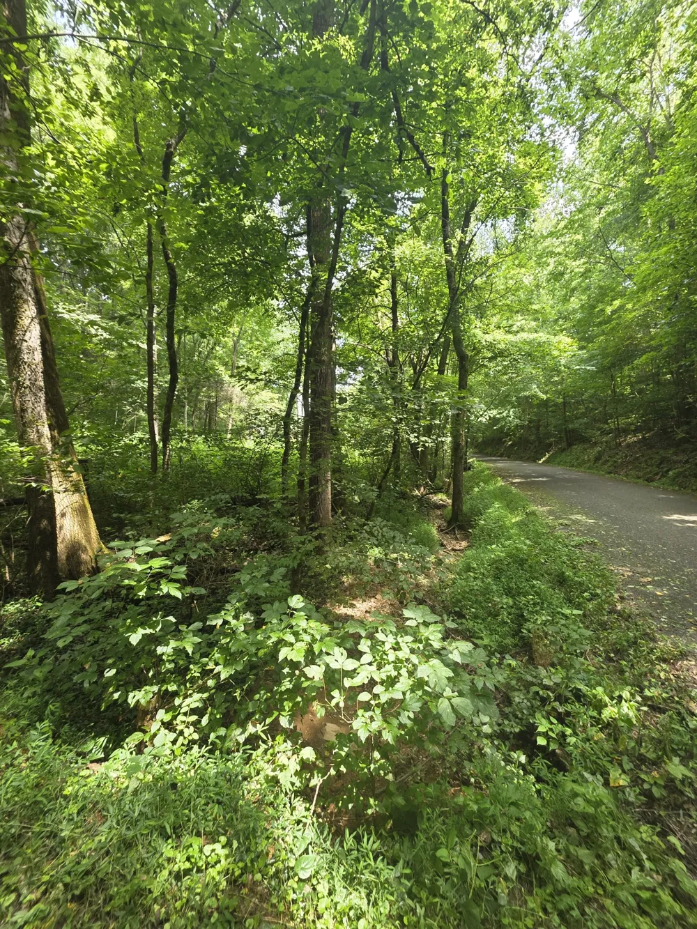 627 Stewart Hollow Rd Lynchburg, TN 37352