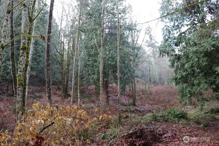 18700 SE 64TH WAY Issaquah, WA 98027