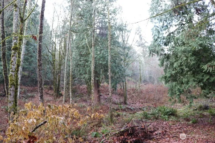 18700 SE 64TH WAY Issaquah, WA 98027