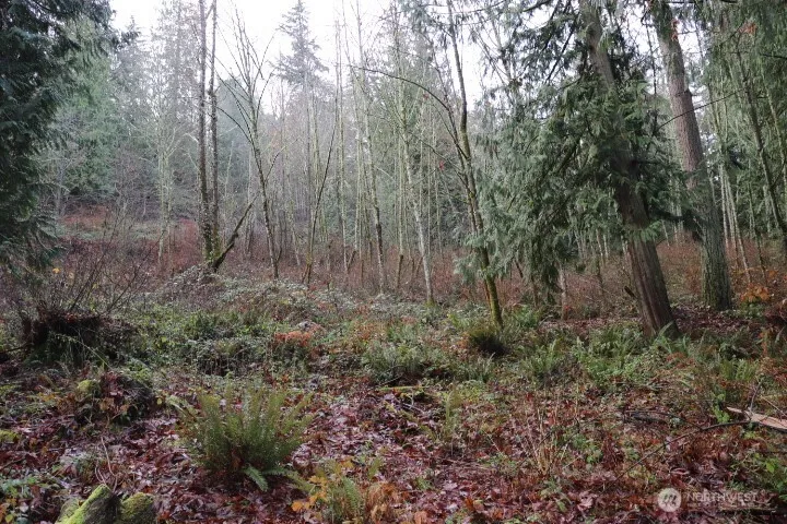 18700 SE 64TH WAY Issaquah, WA 98027