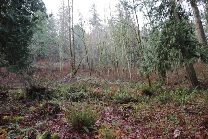 18700 SE 64TH WAY Issaquah, WA 98027