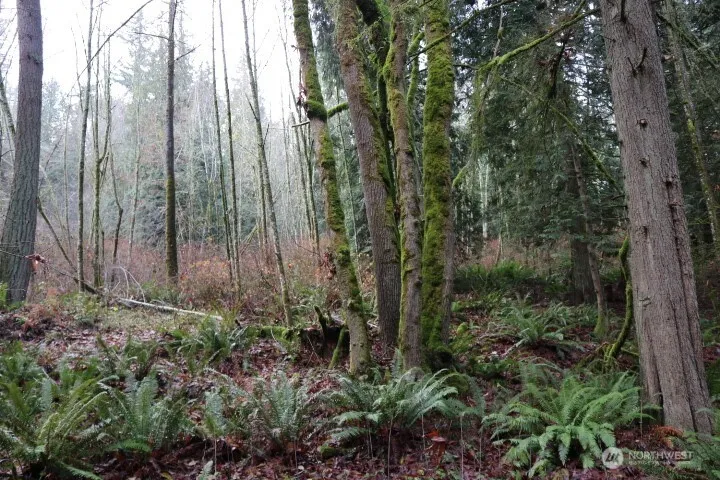 18700 SE 64TH WAY Issaquah, WA 98027