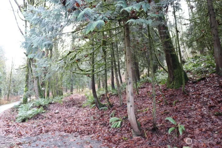 18700 SE 64TH WAY Issaquah, WA 98027