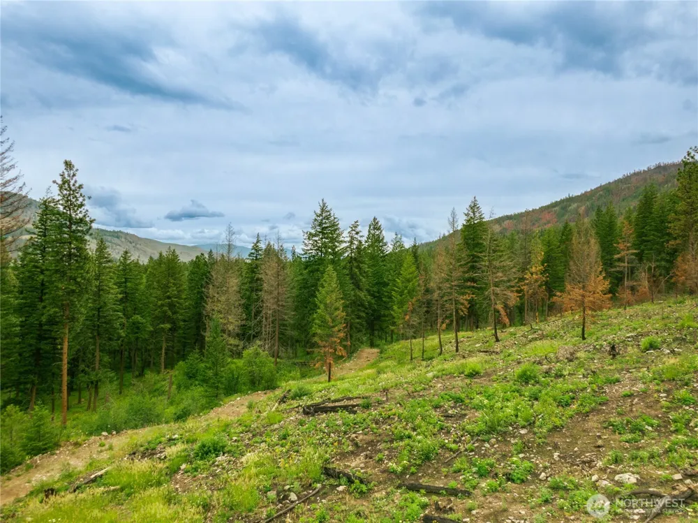 0 Wolf Creek Road Mazama, WA 98833