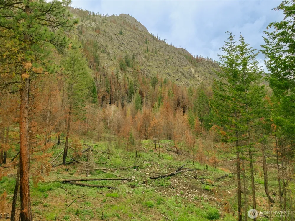 0 Wolf Creek Road Mazama, WA 98833