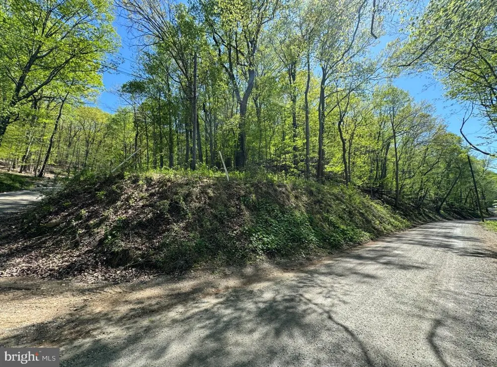 TIMBER LANE Bluemont, VA 20135